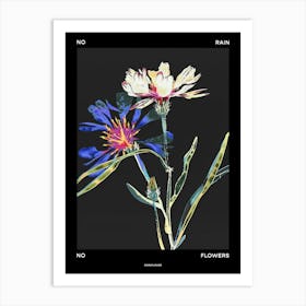 No Rain No Flowers Poster Cornflower 3 Art Print