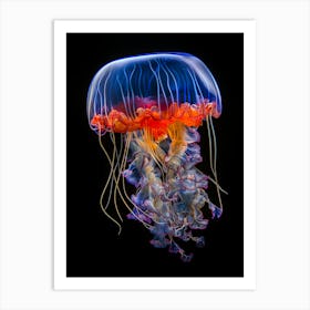 Jellyfish 1 Art Print