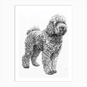 Labradoodle Dog Line Sketch 3 Art Print