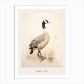 Vintage Bird Drawing Canada Goose 1 Poster Art Print