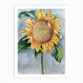 Sunflower Art Print