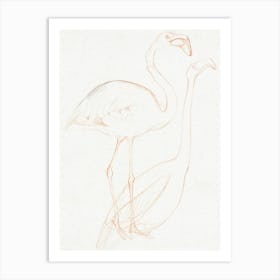 Two Studies Of A Flamingo (1873–1917), Theo Van Hoytema Art Print