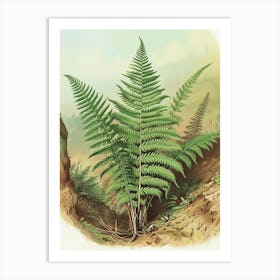 Vintage Illustration Walking Fern 4 Art Print