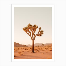  Photograph Of A Joshua Tree At Dawn In Desert 3 Art Print
