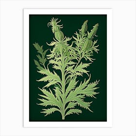 Mugwort Herb Vintage Botanical Art Print