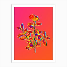 Neon Pomegranate Branch Botanical in Hot Pink and Electric Blue n.0529 Art Print
