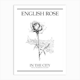 English Rose In The City Line Drawing 2 Poster Art Print