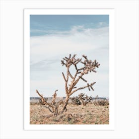 Rattail Cactus Art Print