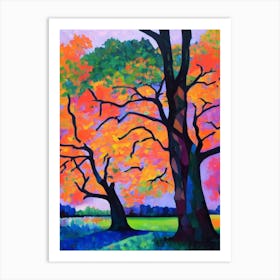 Nuttall Oak Tree Cubist Art Print