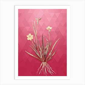 Vintage Yellow Eyed Grass Botanical in Gold on Viva Magenta n.0427 Art Print