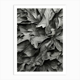 Leaves In Black And White Art Print