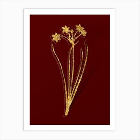 Vintage Rush Daffodil Botanical in Gold on Red n.0558 Art Print