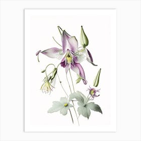 Columbine Floral Quentin Blake Inspired Illustration 1 Flower Art Print