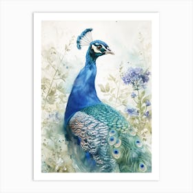 Watercolour Peacock With The Blue Blossom 1 Art Print