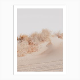 White Sands Dunes Art Print