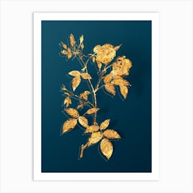 Vintage Velvet China Rose Botanical in Gold on Teal Blue n.0060 Art Print