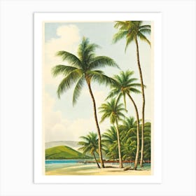 The Baths Beach British Virgin Islands Vintage Art Print