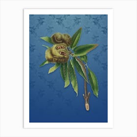 Vintage Spanish Chestnut Botanical on Bahama Blue Pattern Art Print