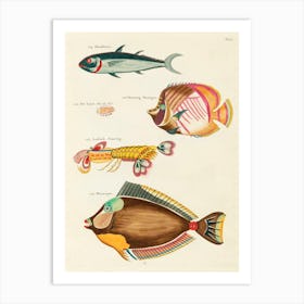Colourful And Surreal Illustrations Of Fishes And Lobster Found In Moluccas (Indonesia) And The East Indies, Louis Renard(52) Art Print