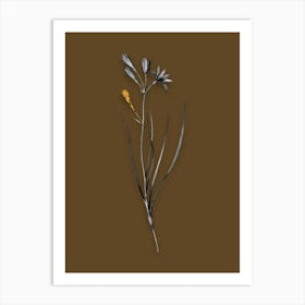 Vintage Amaryllis Montana Black and White Gold Leaf Floral Art on Coffee Brown n.0487 Art Print
