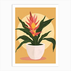 Bromeliad Plant Minimalist Illustration 1 Art Print