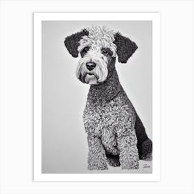 Kerry Blue Terrier B&W Pencil Dog Art Print