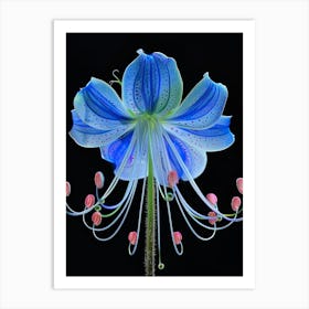 Blue Lily 1 Art Print