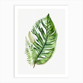 Rabbit S Foot Fern Watercolour Art Print