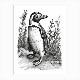 African Penguin Exploring 1 Art Print