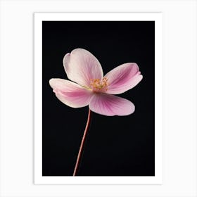 Single Pink Flower 5 Art Print