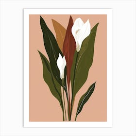 Calla Lilies 7 Art Print