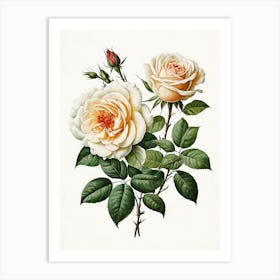 Vintage Galleria Style Rose Art Painting 20 Art Print