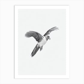 California Condor B&W Pencil Drawing 2 Bird Art Print