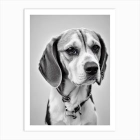 Beagle B&W Pencil Dog Art Print