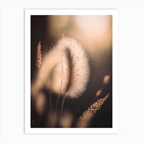 Glowing Pampas Grass Art Print