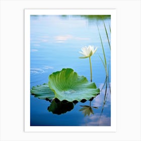 Macro Photography Of A Delicate Green Leaf Resting Upon The Surface Of A Tranquil Swedish Duck Pond 2 Art Print