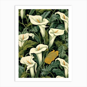 Calla Lilies 1 Art Print