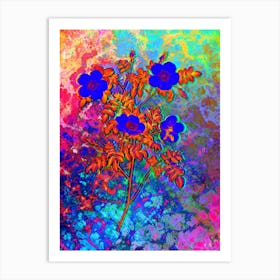 White Candolle's Rose Botanical in Acid Neon Pink Green and Blue n.0276 Art Print