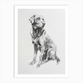 Chesapeake Bay Retriever Dog Charcoal Line 4 Art Print