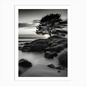 Lone Tree 32 Art Print