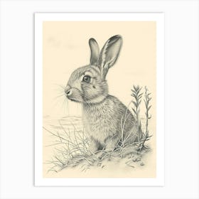 Harlequin Rabbit Drawing 3 Art Print