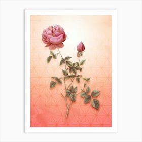 Pink Autumn China Rose Vintage Botanical in Peach Fuzz Asanoha Star Pattern n.0274 Art Print