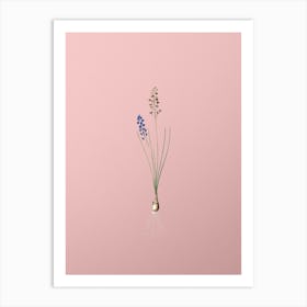 Vintage Autumn Squill Botanical on Soft Pink n.0383 Art Print