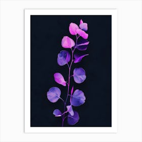 Eucalyptus 7 Art Print