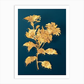 Vintage Red Aster Flowers Botanical in Gold on Teal Blue n.0223 Art Print