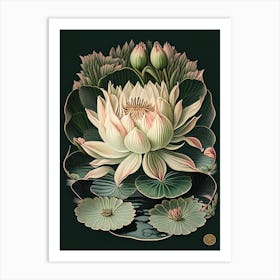 Water Lily 2 Floral Botanical Vintage Poster Flower Art Print