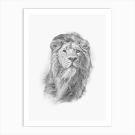 Lion Handrawn Black And White Art Print