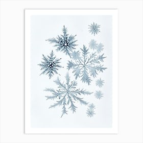 Fernlike Stellar Dendrites, Snowflakes, Quentin Blake Illustration 1 Art Print