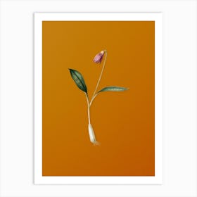 Vintage Erythronium Botanical on Sunset Orange Art Print