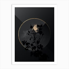 Shadowy Vintage Celery Leaved Cabbage Rose Botanical on Black with Gold Art Print